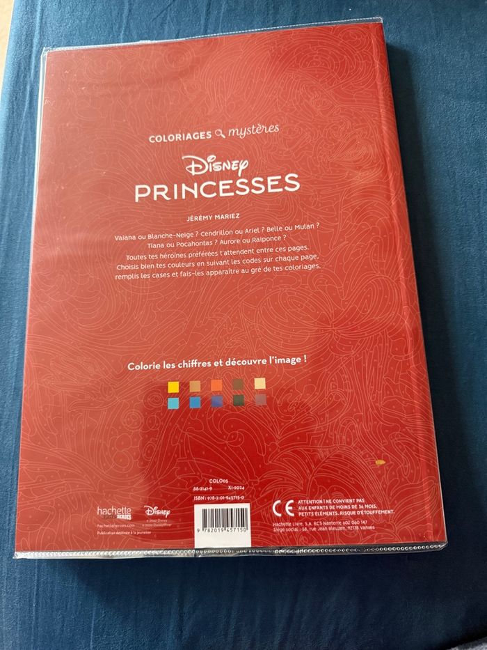 Coloriage mystères Princesses - photo numéro 2