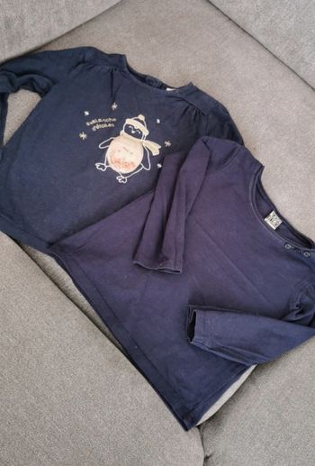 Lot de deux tee shirt manche longue taille 2 ans