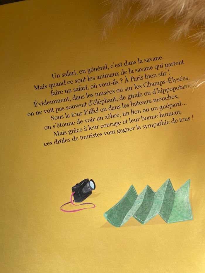 Safari à Paris, livre pour enfant - photo numéro 3