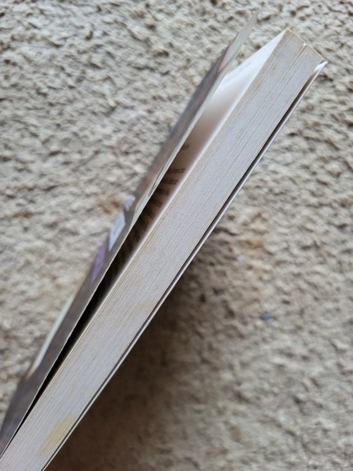 Roman Les Borgia – Juliette Benzoni - photo numéro 2