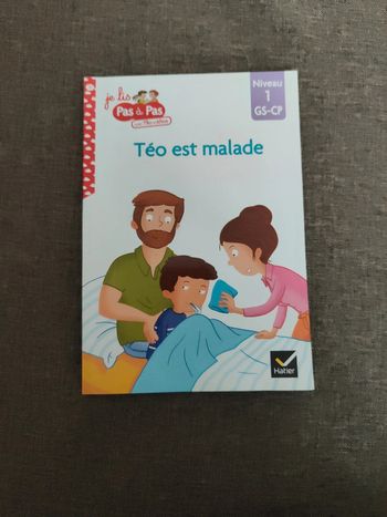 Livre Téo est malade GS CP
