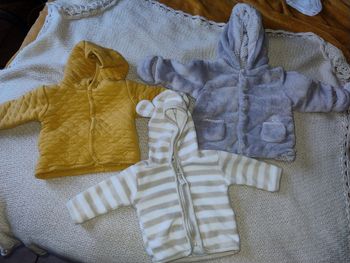 Vestes