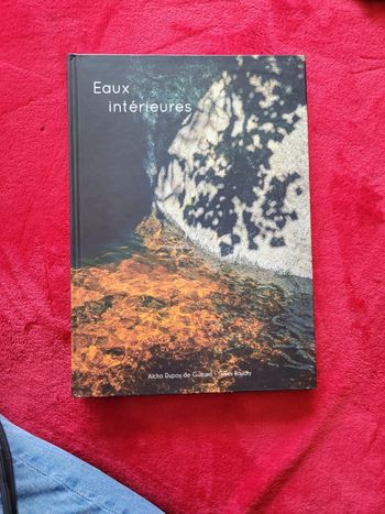 Eaux intérieures. Gilles Baudry