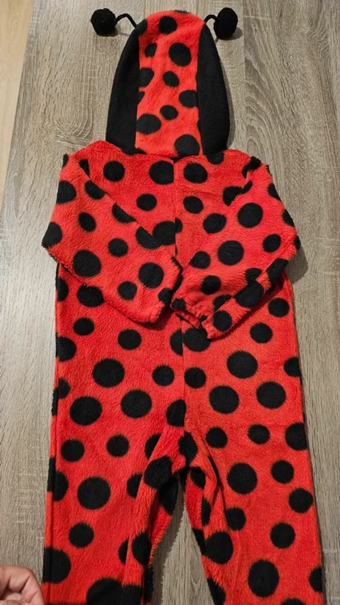 Costume coccinelle 18/24 mois - photo numéro 5