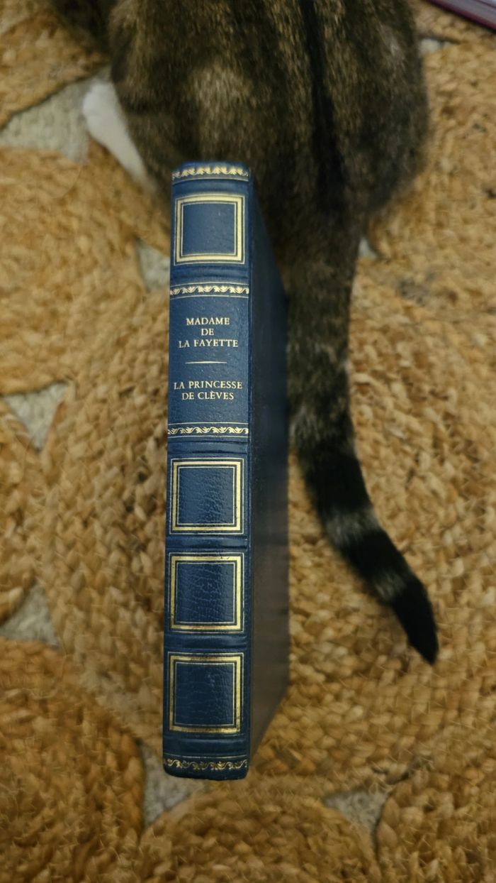 La Princesse de Clèves – Madame de La Fayette