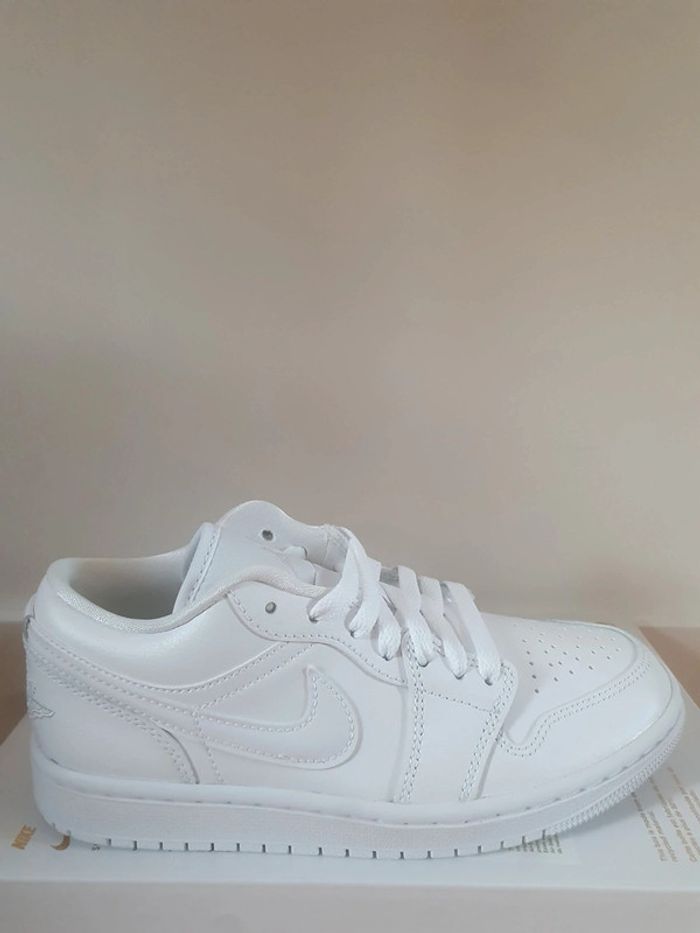 Nike Air Jordan 1 (36)