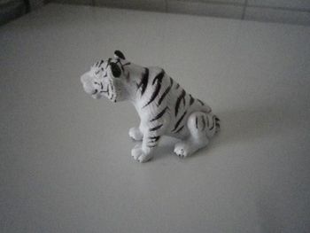 TIGRE BLANC