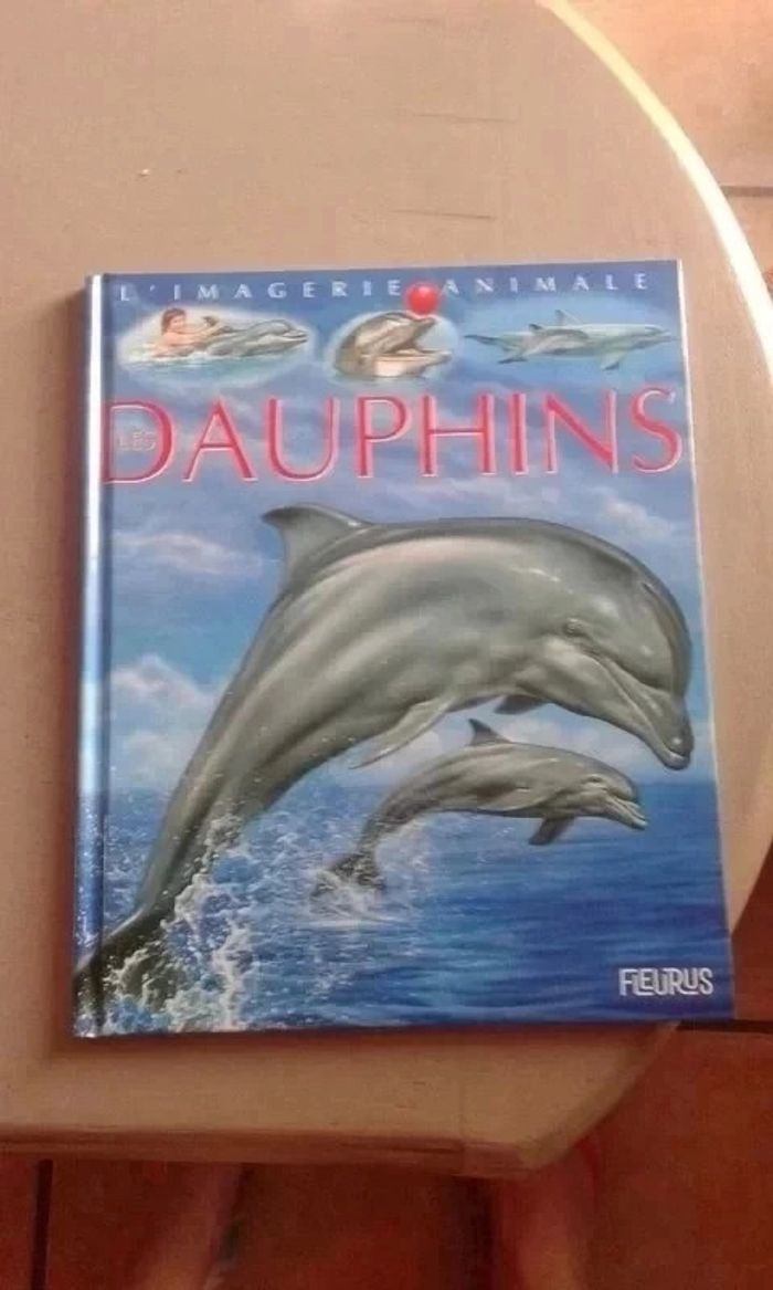 7 Grande imagerie - photo numéro 2