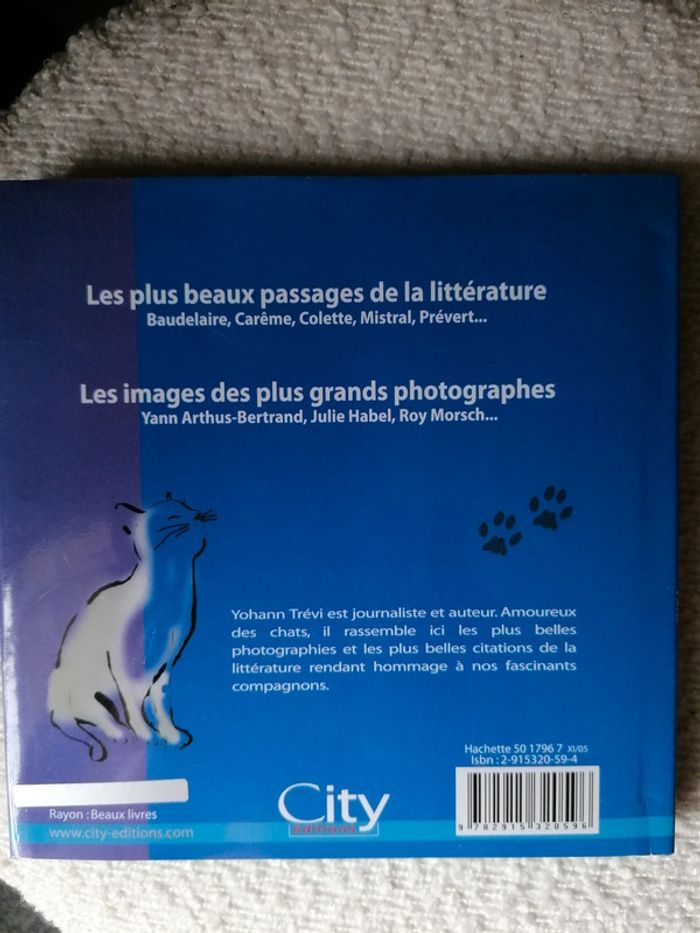 Livre neuf sur les chatons, magnifiques photos - photo numéro 2