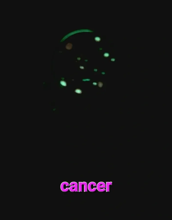 Porte-clés signe astrologique cancer - photo numéro 3