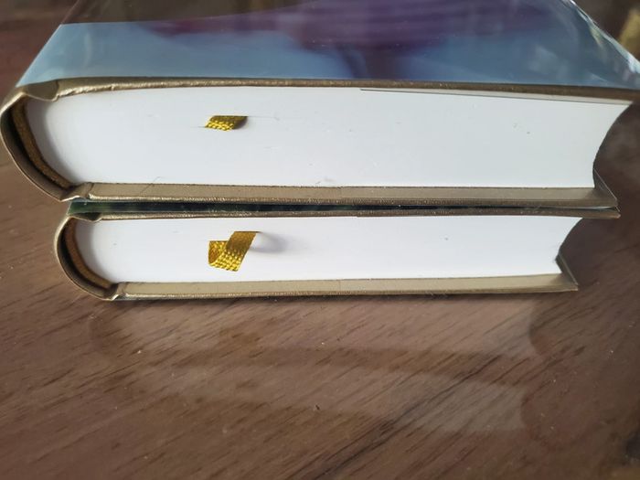 Lot de 2 livres de Danielle Steel - photo numéro 4