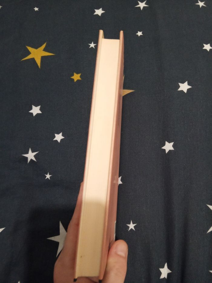 Livre (159) 📚 La Dame de Coeur - photo numéro 3