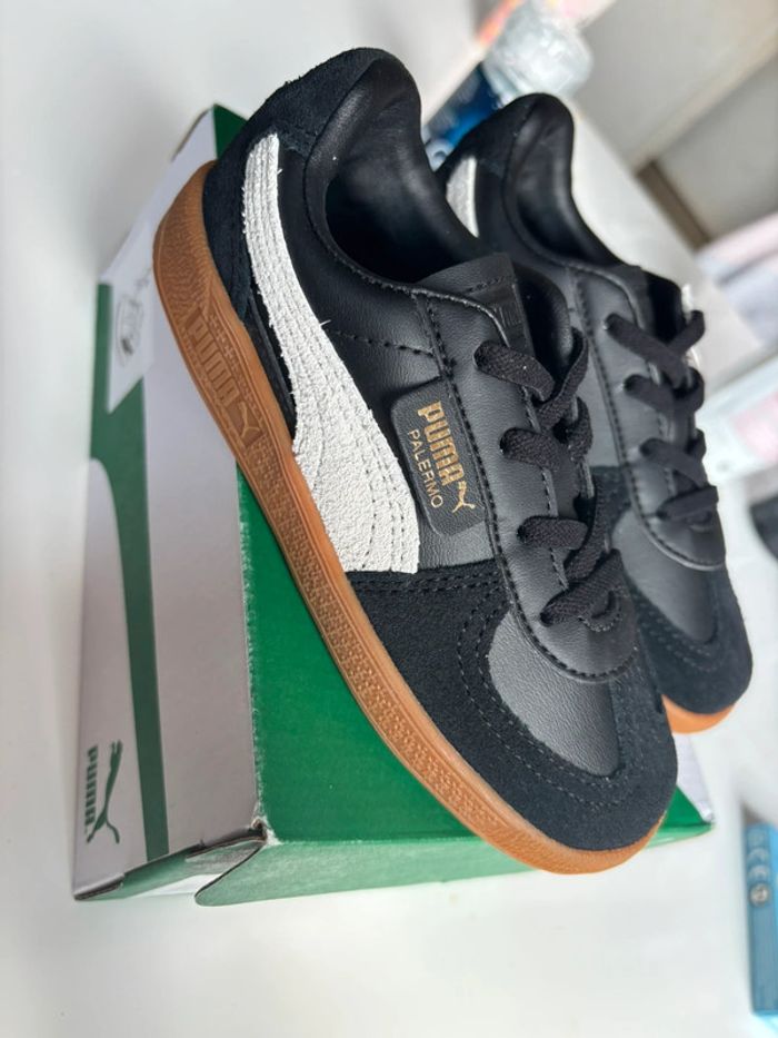 Puma Palermo - photo numéro 2