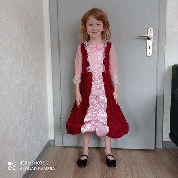 Robe de princesse bordeaux rose 6ans