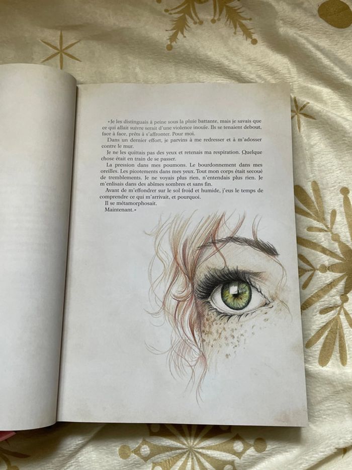 Livre illustré « Les étoiles de Noss Head - Vertige » Tome 1 - photo numéro 4