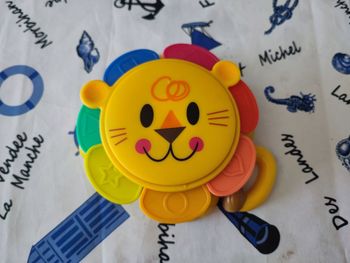 lion encastrable