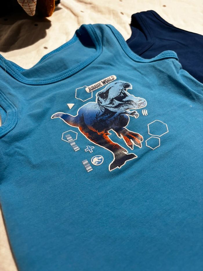 Chemisettes - photo numéro 2