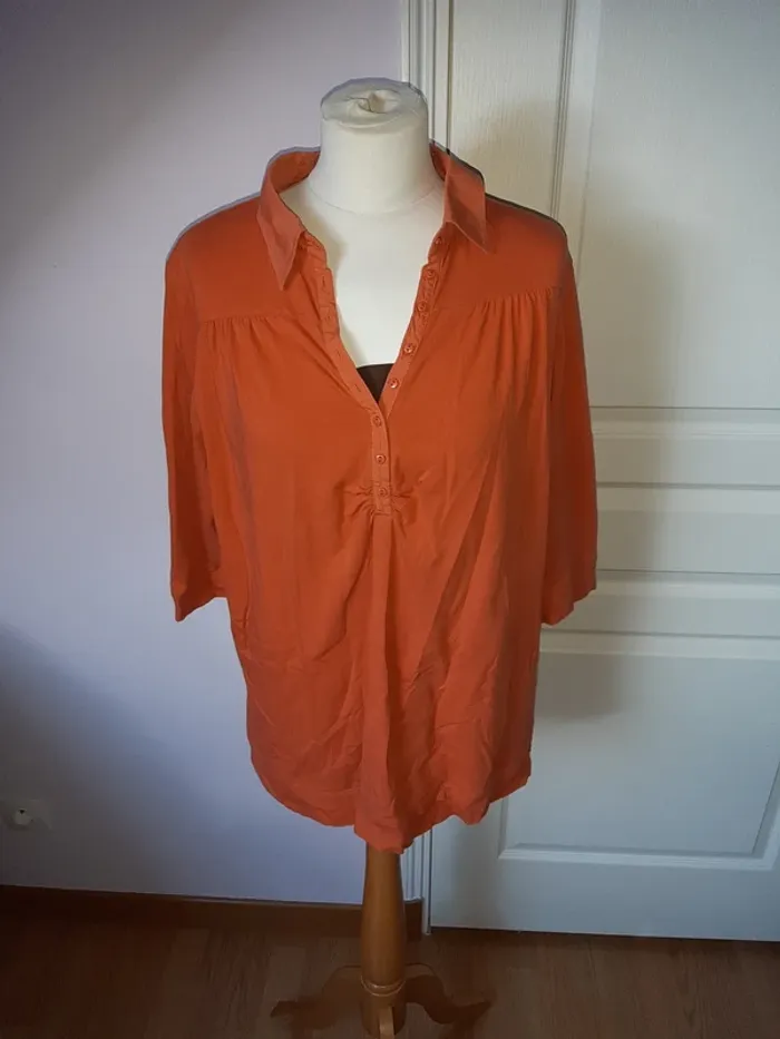 Blouse col- décolleté