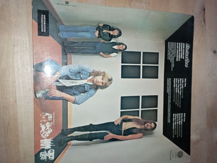 Vinyle - photo numéro 2