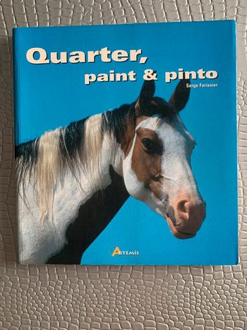 Quarter, paint & pinto