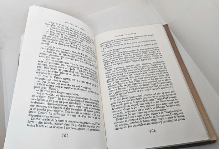 "Un thé au Sahara", de Paul Bowles.
296 pages.
ISBN : 2.7242.6003.1 - photo numéro 6