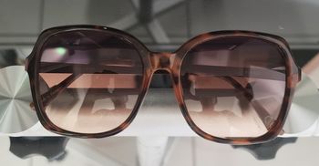 Elégante Lunettes de Soleil