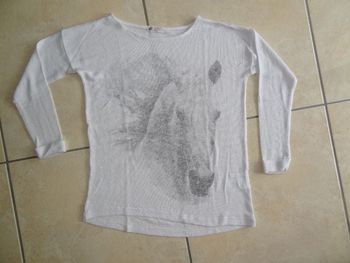 léger pull cheval H&M T12-14ans