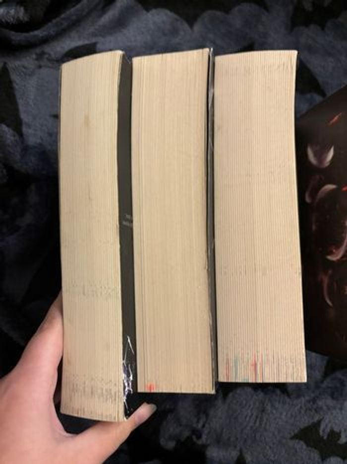 Livres dark romance - photo numéro 4