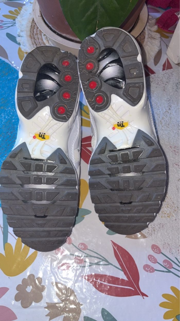 Basket - photo numéro 5