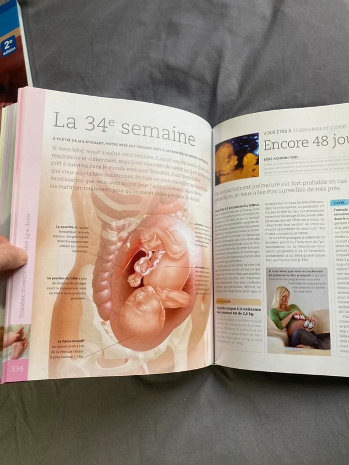 Livre de grossesse - photo numéro 7