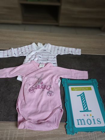 Lots de 2 bodys manches longues