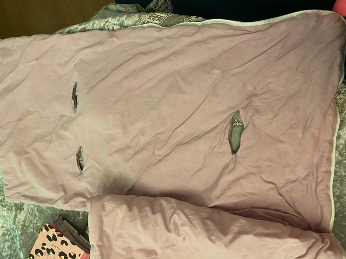 Nid d’ange - photo numéro 3