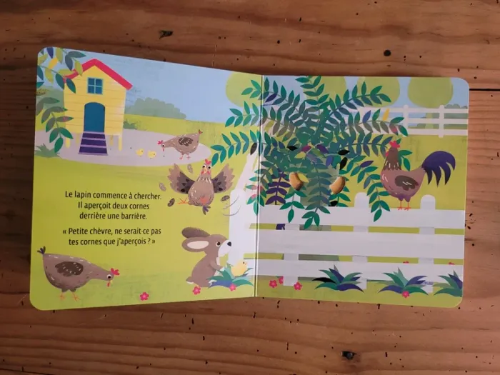 Livre Où es-tu petite chèvre ? - photo numéro 6