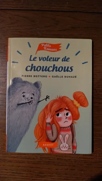 Livre "Le voleur de chouchous"
