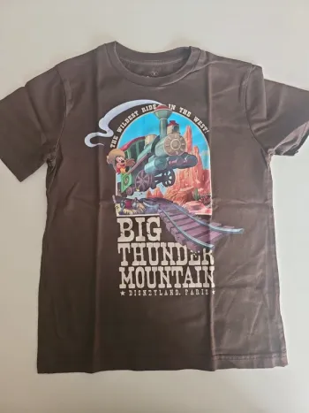 T-shirt attraction Disneyland Paris