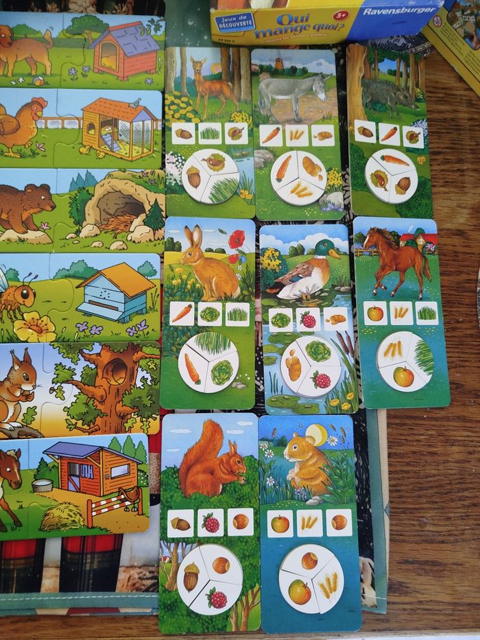 Lot de jeux éducatifs - photo numéro 14