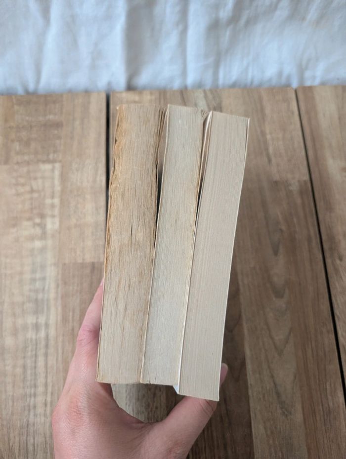 Lot livres le seigneur des anneaux - photo numéro 14