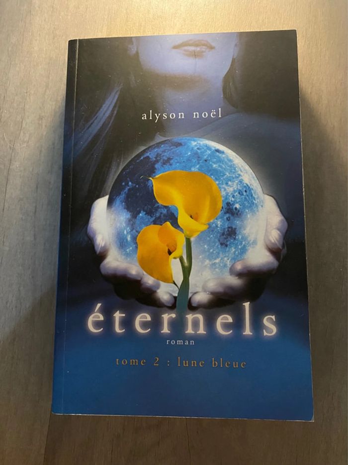 Lot Éternels - photo numéro 5