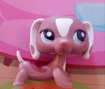 Petshop teckel #1631