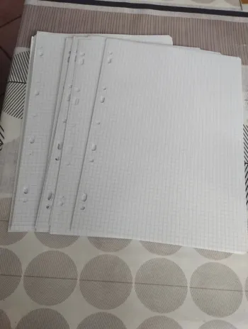 Lot feuilles simples petits carreaux