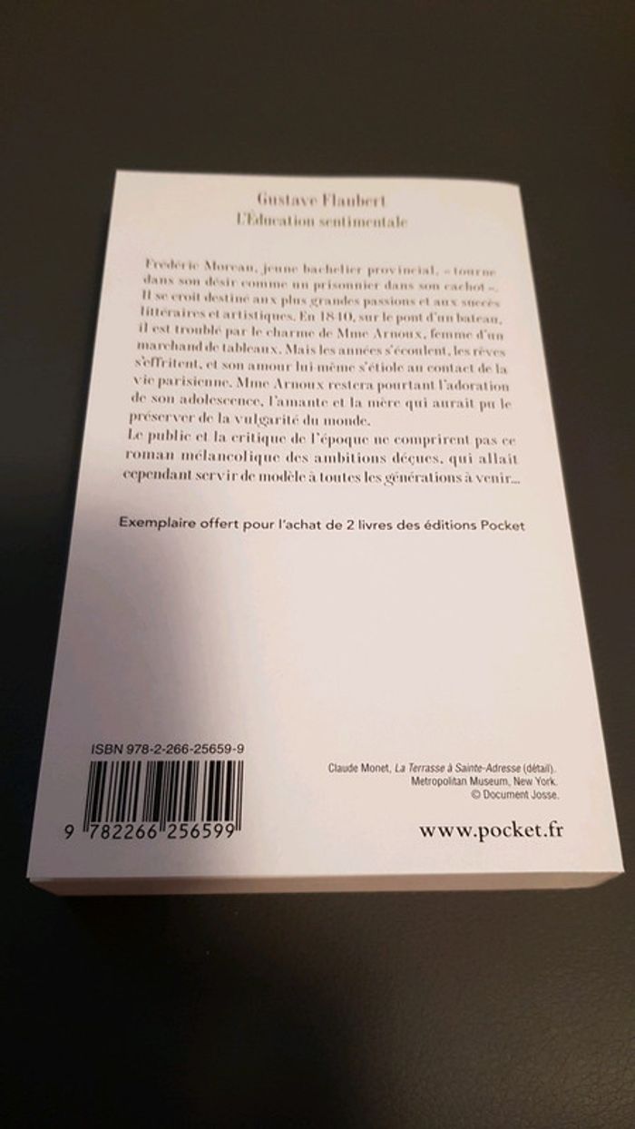 L'éducation sentimentale Gustave Flaubert - photo numéro 2