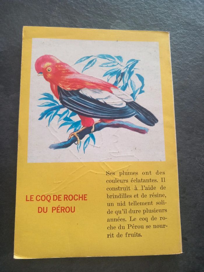 Bugs Benny numéro 135 - photo numéro 2