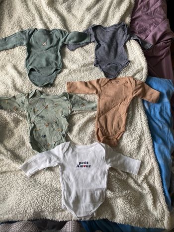 Lot bodies