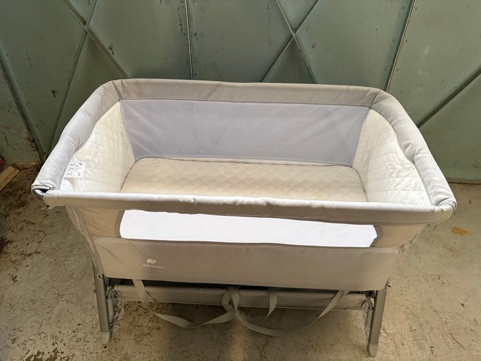 Cododo - photo numéro 4