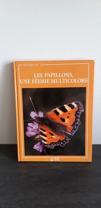 Les papillons , une féerie multicolore