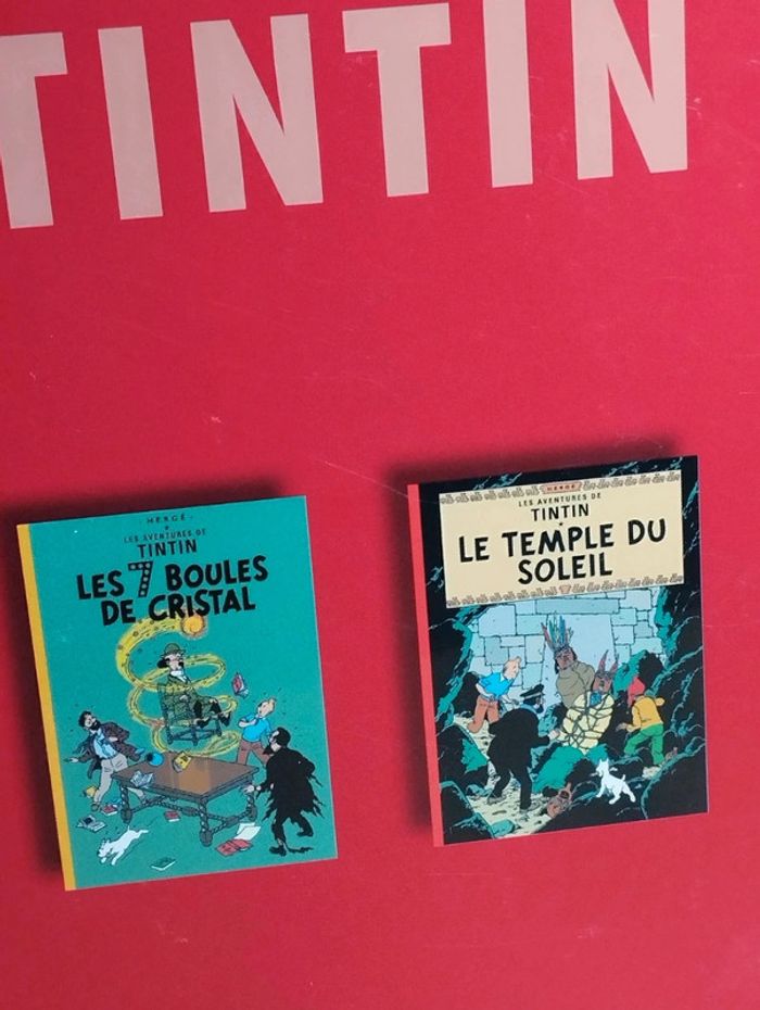 Les aventures de Tintin club France loisirs 2007 Casterman - photo numéro 2