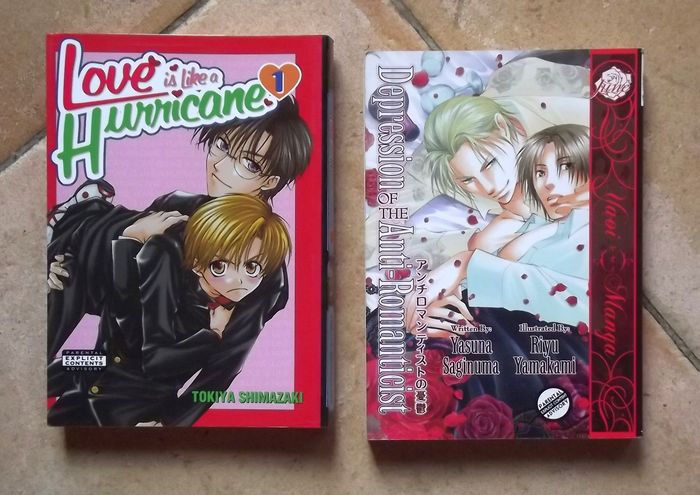 Mangas en anglais le lot de quatre - photo numéro 4