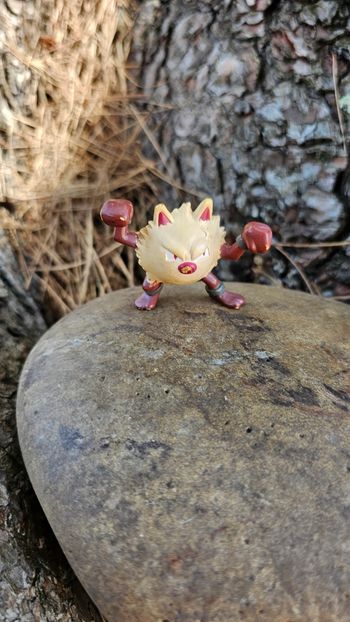 Super figurine Pokemon Nintendo tomy C.G.T.S.J Colossinge