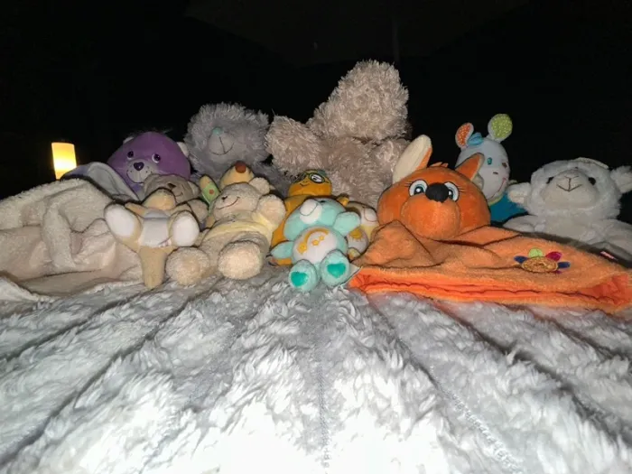 Lot de 14 peluches/doudous - photo numéro 3