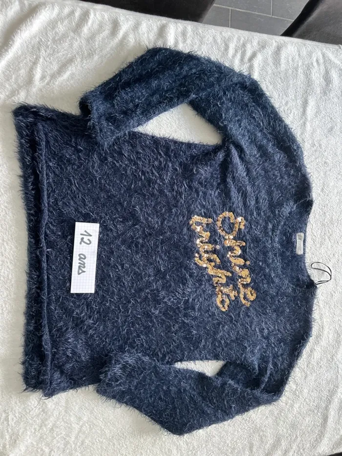 Pull à poils